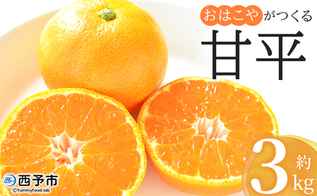 ＜おはこやがつくる 甘平 約3kg（L～3Lサイズ）＞ 果物 フルーツ 柑橘 カンペイ みかん ミカン 蜜柑 特産品 西宇和 愛媛県 西予市【常温】『2026年2月上旬～2月下旬迄に順次出荷予定』MOK0004
