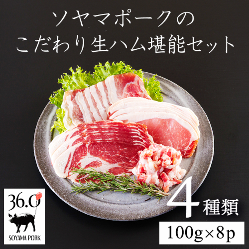 ソヤマポークの生ハム堪能セット[熟成肩ロース ロース モモ パンチェッタ 4種類] TF864ーP00078