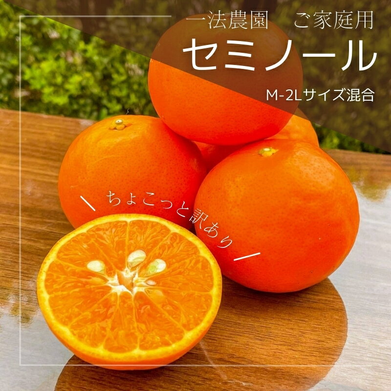 【ふるさと納税】 一法農園のセミノール ご家庭用 ちょこっと訳あり M-2L サイズ混合 5kg【2026年4月上旬〜4月下旬までに順次発送】 / みかん ミカン 蜜柑 フルーツ