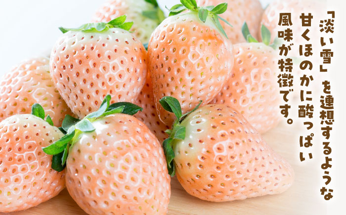 【先行予約】ほんのりピンク 希少 白いちご「淡雪」220g×4パック【岸川農園】イチゴ [IAP033]