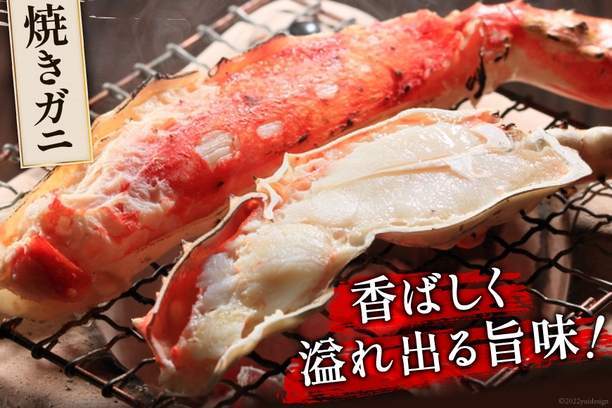 本 タラバガニ 脚 ボイル済 約1kg 極太5Lサイズ [カネダイ 宮城県 気仙沼市 20564323] カニ かに 蟹 たらばがに たらば蟹 タラバ蟹 たらば タラバ ボイル 