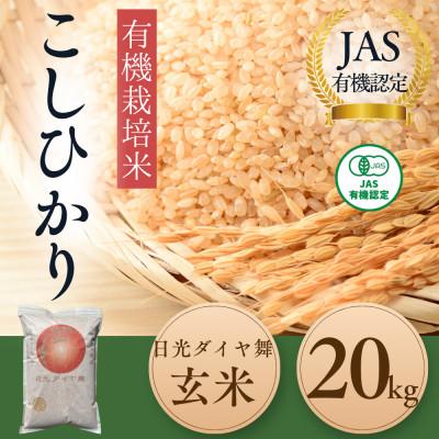 ふるさと納税 日光市 【JAS有機】こしひかり玄米20kg　◆お米◆オーガニック◆有機栽培◆栽培期間中農薬不使用