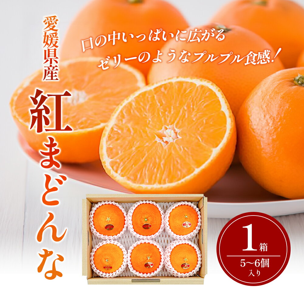【ふるさと納税】【箱数限定！申込12月7日まで】紅まどんな　1箱（5～6個入り）11月下旬から順次発送 ＜期間限定 数量限定 ミカン みかん 柑橘 高級品 正規品 紅マドンナ フルーツ 果物 スイーツ おやつ 愛媛県 贈答＞　お届け：2025年11月下旬～2024年12月下旬