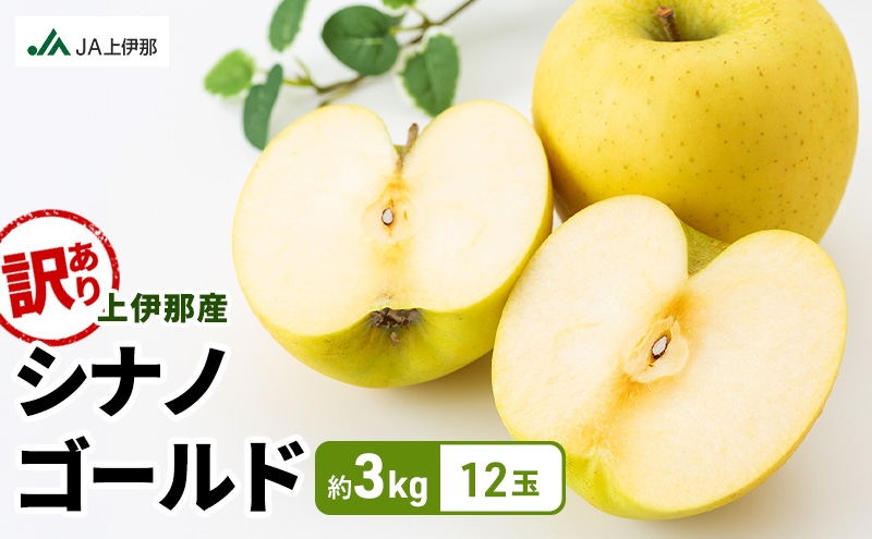 
                  訳あり りんご 長野 リンゴ シナノゴールド 約3kg （12玉） 産地直送  フルーツ 果物 デザート おやつ 林檎 旬 信州 長野県 長野県産 駒ヶ根市 上伊那産 [№5659-1773]
                