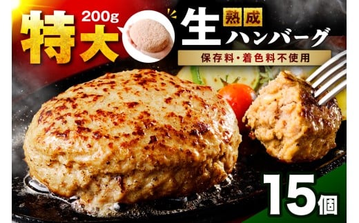 【無添加】食べ応え抜群！ 生ハンバーグ 200g 15個【087C-011】