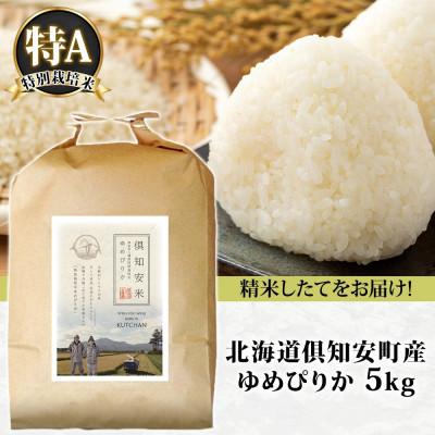 ふるさと納税 倶知安町 北海道 倶知安町産 ゆめぴりか 特別栽培米 精米 5kg 数量限定 【2026年4月出荷】 |  | 02