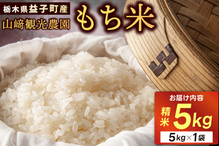 山﨑観光農園のもち米 5kg | 栃木県 益子町 ふるさと納税 お米 米 もち米 5kg 令和7年産 (AU008)