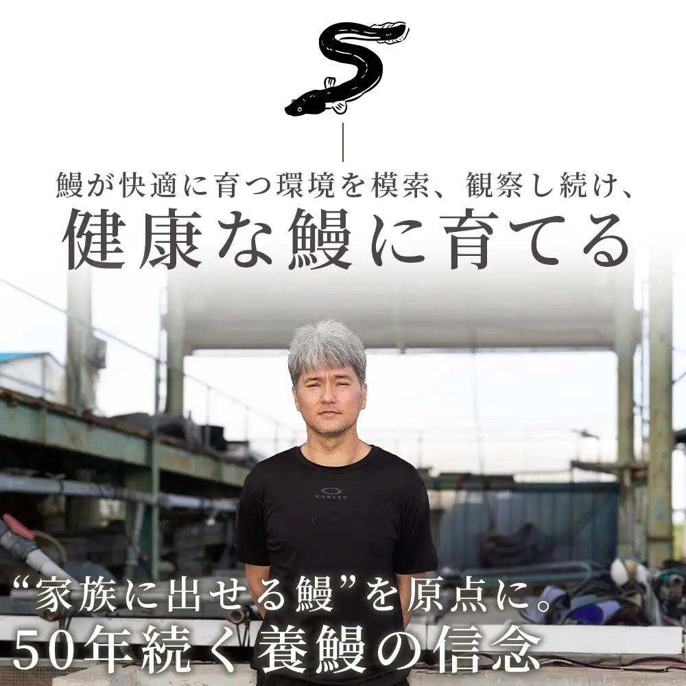 鰻白焼 2尾 うなぎ 【 鰻 】  yw-0108