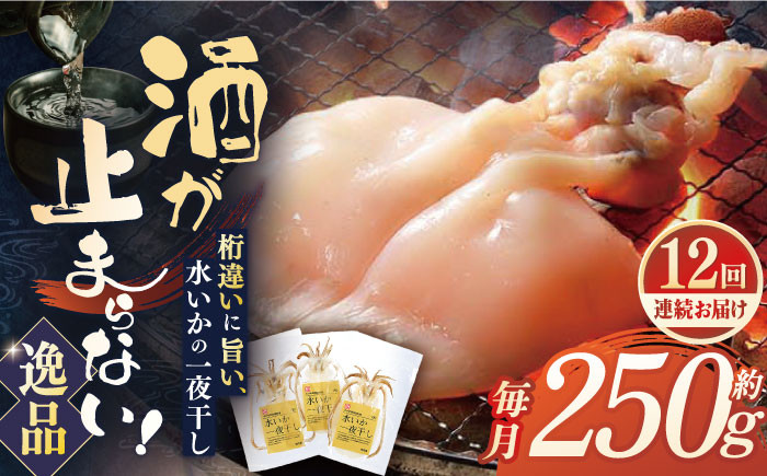 
            【全12回定期便】【身が厚く柔らかい】漁師の水烏賊一夜干し 約250g（2〜3枚） 平戸市 / 中野漁業協同組合 [KAB245]
          