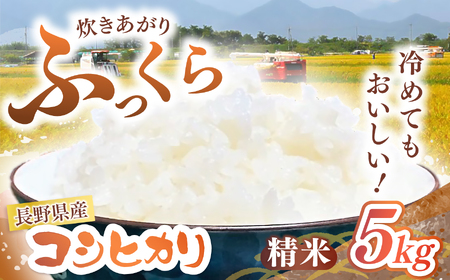 【令和7年度産】長野県産 コシヒカリ 5kg（精米） | 米 こめ コメ お米 白米 はくまい 精米 無洗米 コシヒカリ 長野県 松川村 信州