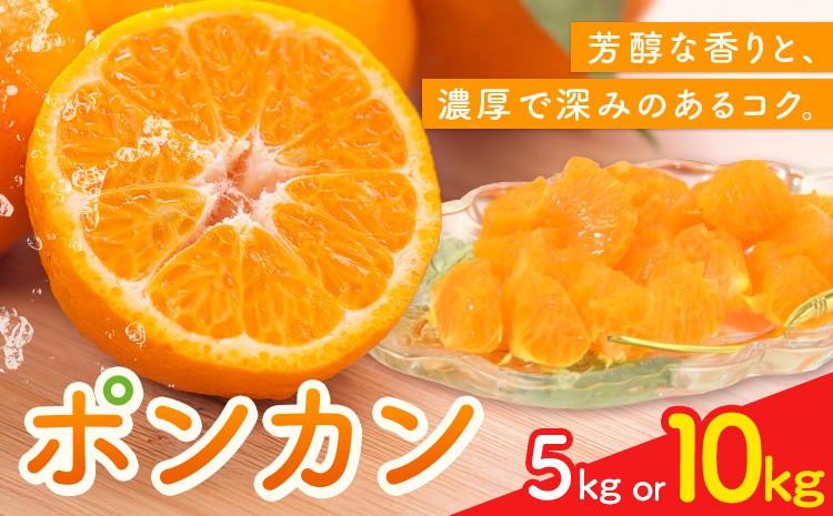 
                  ポンカン5kg または 10kg 高橋商店《12月上旬-2月中旬頃出荷》熊本県 苓北町 柑橘 かんきつ 果物 フルーツ ポンカン
                