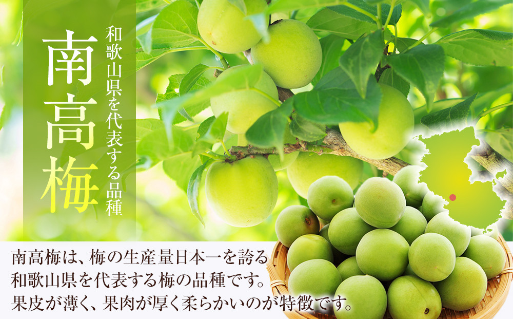 冷凍 紀州南高梅 青梅   約5kg   L～4Lサイズ混合 ご家庭用
