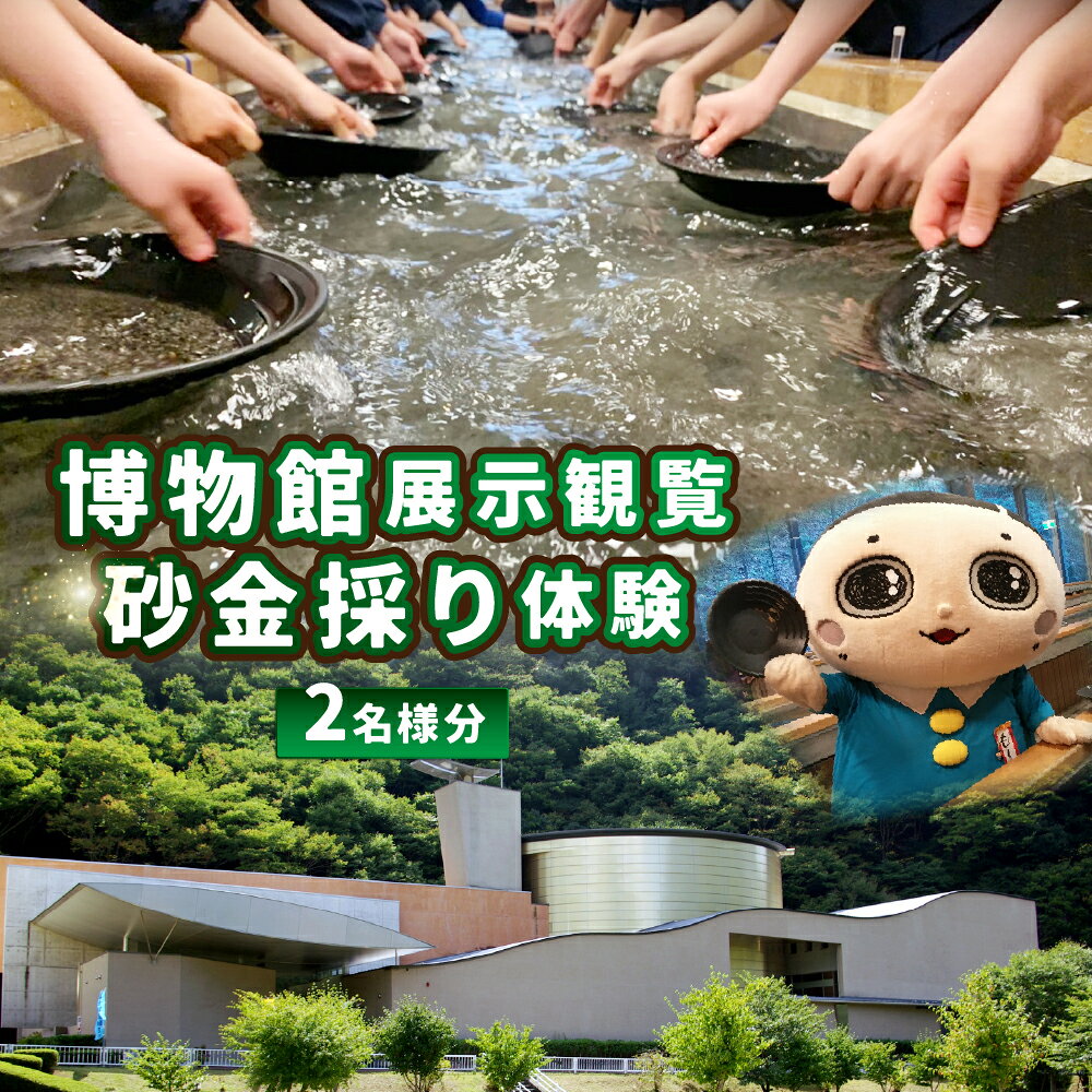【ふるさと納税】博物館展示観覧と砂金採り体験 2名様分 体験チケット＆記念クリアファイル 1枚 甲斐黄金村・湯之奥金山博物館 体験 チケット 施設利用券 入場券 砂金採り 博物館 体験型博物館 旅行 観光 トラベル 山梨県 身延町 送料無料