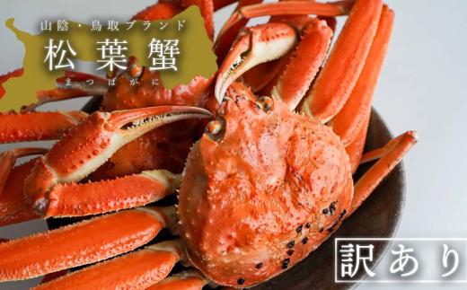 
【蒸し】訳あり松葉ガニ　中　3枚(500～640g前後/枚)
