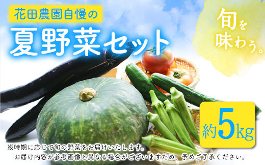
                  夏野菜セット 約5キロ 花田農園 《6月上旬-8月中旬頃出荷》トマト きゅうり オクラ かぼちゃ マクワ瓜 すいか ゴーヤ じゃがいも 玉ねぎ 鞍手郡 野菜 夏 野菜 夏野菜
                