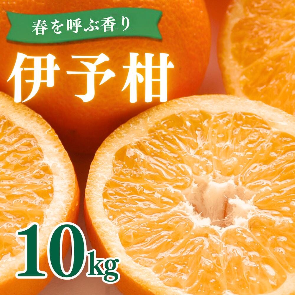 【ふるさと納税】愛媛県産 伊予柑 10kg　秀2L〜L 伊予柑 いよかん イヨカン 伊予かん 愛媛みかん 愛媛県産 愛媛 柑橘 柑橘類 みかん ミカン 蜜柑 果物 フルーツ 国産フルーツ 国産果物 旬の果物 産地直送 お取り寄せ 家庭用 ご家庭用 自宅用 10キロ 愛媛県 上島町