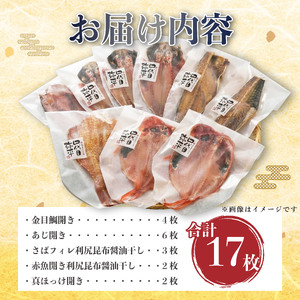 干物 詰め合わせ 5種17枚 干物