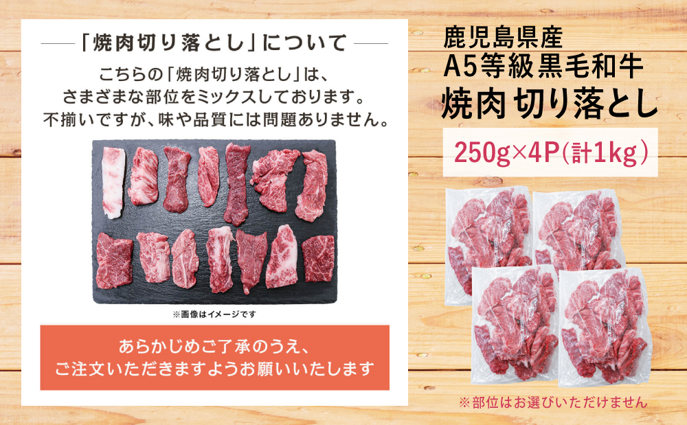 【鹿児島県産】A5等級黒毛和牛 焼肉 切り落とし計1kg（250g×4P） 国産牛 牛肉 国産 焼き肉 カミチク 切落し おまかせ BBQ バーベキュー アウトドア 丼 プレート 小分けパック 冷凍