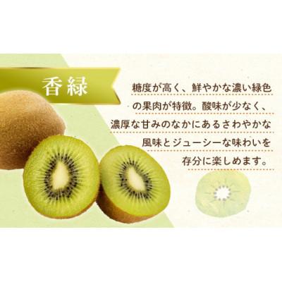 ふるさと納税 高松市 香緑キウイ　約3.0kg