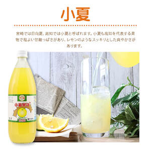 オレンジ園の濃縮ジュース 小夏 1L 3本 希釈用 みかんジュース チューハイ用 ドリンク ジュース 柑橘類 蜜柑 みかん【R01126】