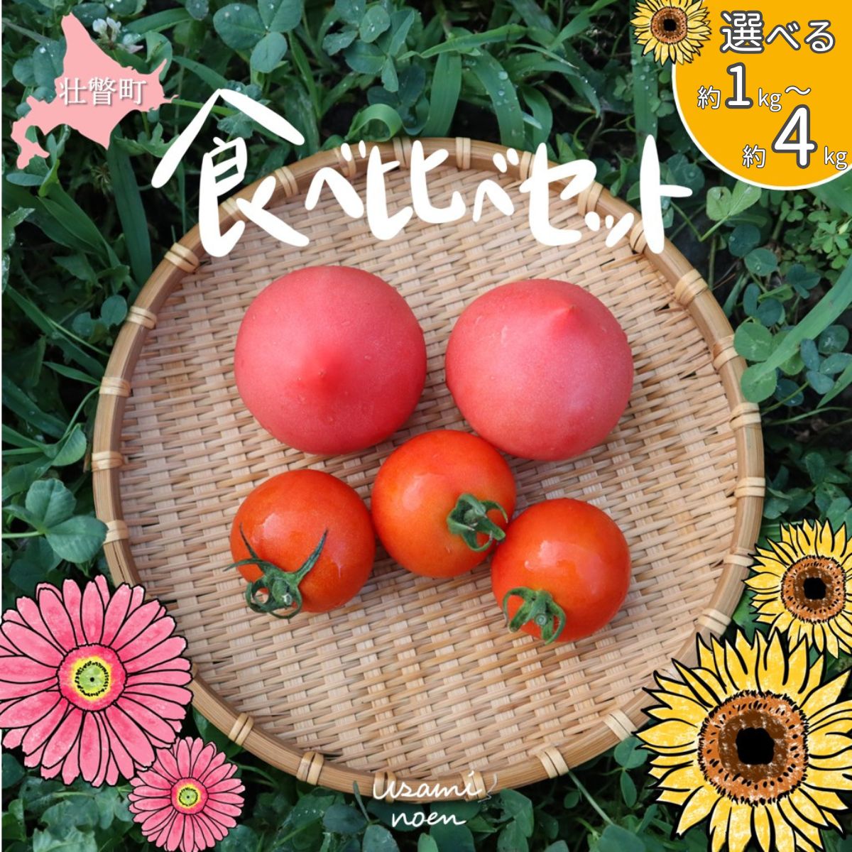 【ふるさと納税】北海道壮瞥町産 トマト食べ比べ2種セット 選べる 約1kg ～ 約4kg(ラビットゴッホ＆ルネッサンス) 【 ふるさと納税 人気トマト とまと 野菜 中玉トマト フルーツトマト フルーツ ミニトマト 甘い 糖度 美味しい 完熟 グルメ サラダ 北海道 壮瞥町 】 SBTAJ001