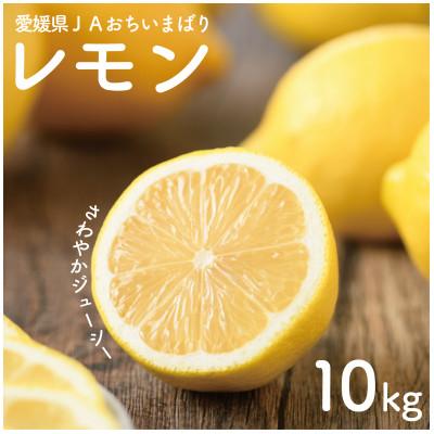 ふるさと納税 上島町 【先行予約】瀬戸内レモン10kg　2L〜M　JA選果品
