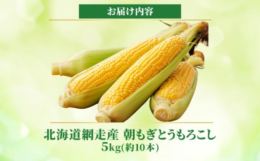【先行予約】北海道網走産とうもろこし5kg（約10本）【 ふるさと納税 人気 おすすめ ランキング トウモロコシ 野菜 新鮮 オホーツク 北海道 網走市 送料無料 】 ABAO160