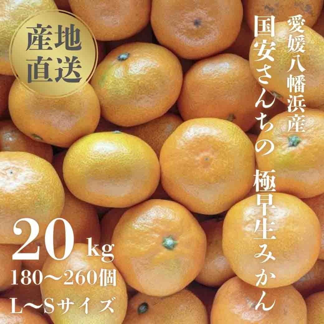 
                  ＜創業85年 親子4代 愛媛みかん 一筋＞愛媛八幡浜産 極早生みかん 20kg＜H20-86＞【1625218】 YWTI081
                
