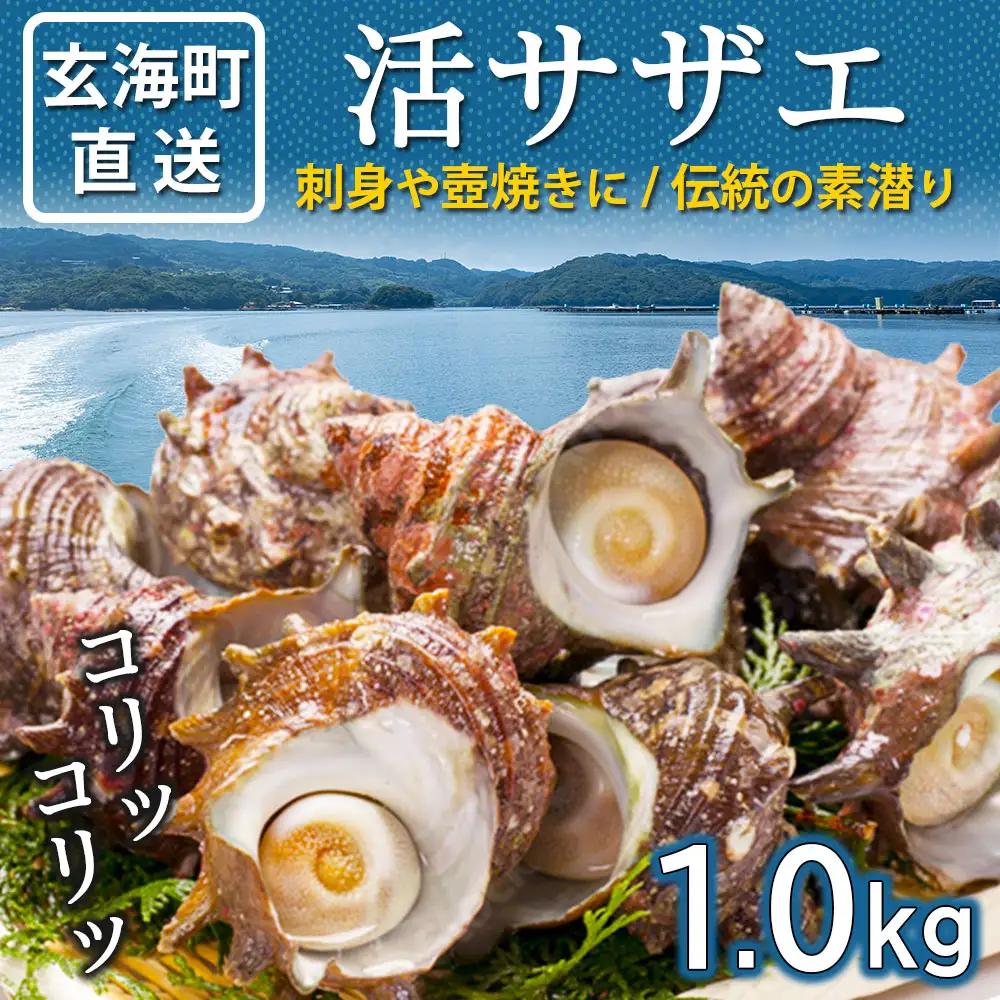 玄海町産 活サザエ 1.0kg ／ 数量限定 壺焼き サザエ【A186】