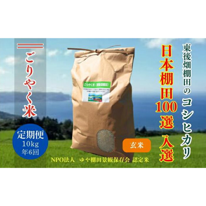 【ふるさと納税】 令和7年度産 ごりやく米 東後畑棚田こしひかり 玄米 10kg 定期便 年6回 毎月配送 棚田米 長門市 コシヒカリ こしひかり