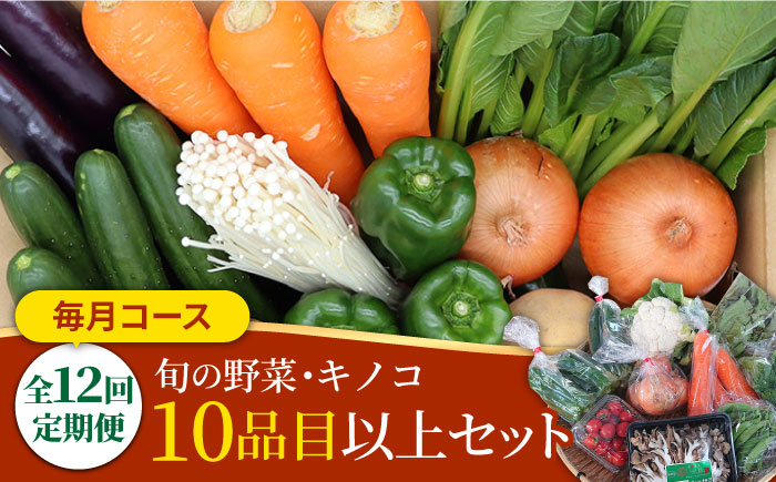 【12回定期便】野菜定期便 キノコをセット「12回（毎月）」お届け 10品目以上 詰め合わせ 12回  / 定期便 野菜 やさい 春野菜 夏野菜 秋野菜 冬野菜 旬 / 南島原市 / 吉岡青果 [SCZ007]