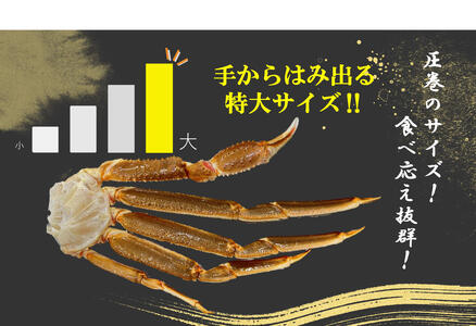 ほんまにうまい ずわいがに 1.5kg ハーフポーション ずわい蟹 ずわいガニ ズワイガニ 