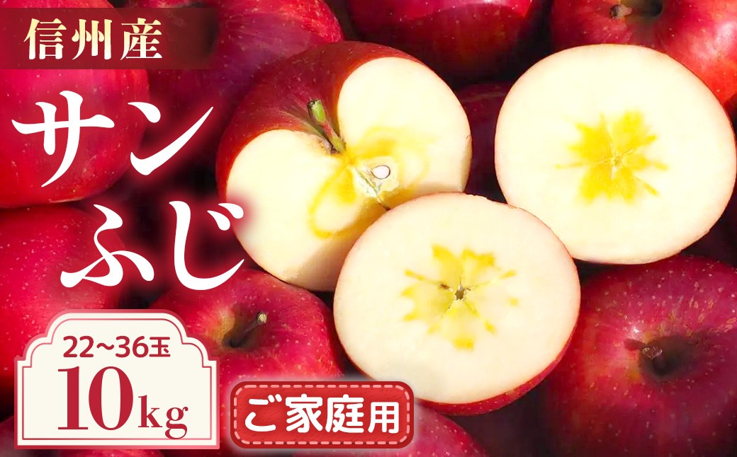 
                  【2026年12月発送予定】完熟りんご　サンふじ　ご家庭用 約10kg（22-36玉）　林檎｜リンゴ｜果物｜フルーツ｜長野県産｜南信州
                