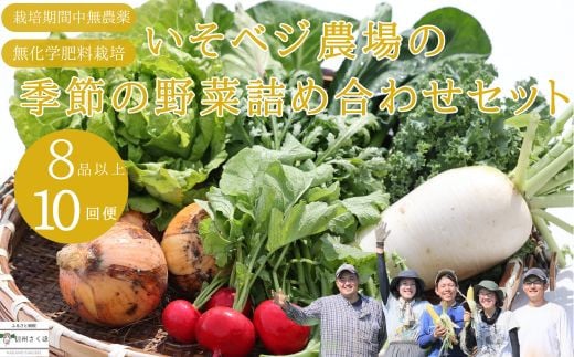 
いそベジ農場の季節の野菜詰め合わせセット　定期便　10回便〔IV-10〕
