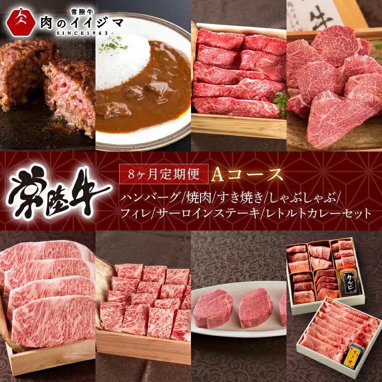 【ふるさと納税】【定期便 全8回】 常陸牛 8ヶ月 定期便 Aコース お中元 肉 ハンバーグ 焼肉 すき焼き しゃぶしゃぶ フィレ サーロイン ステーキ レトルト 常陸牛カレー ビーフカレー ギフト対応 【肉のイイジマ】（DU-114）