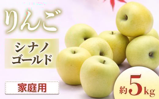 I-4 りんご　シナノゴールド 約5kg（10～18玉入り）※ご家庭用※＜2025年発送　先行予約＞
