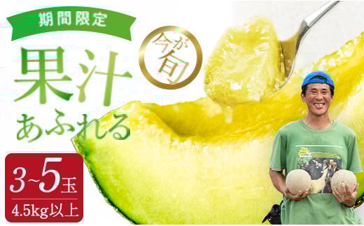 
            受付終了間近！【発送5月～】ジューシーな果汁たっぷりメロン ＼生産量日本一の実力！／ 旬の イバラキング メロン 3~5玉 合計4.5kg以上｜茨城県 鉾田市産 めろん 方波見農園 《安心安全栽培》上品な甘さ 絶品 産地直送 青肉 高級 おすすめ 人気 BMW農法 ジューシー 旬 大きい 甘い 国産 フルーツ 果物 ギフト プレゼント 贈り物
          