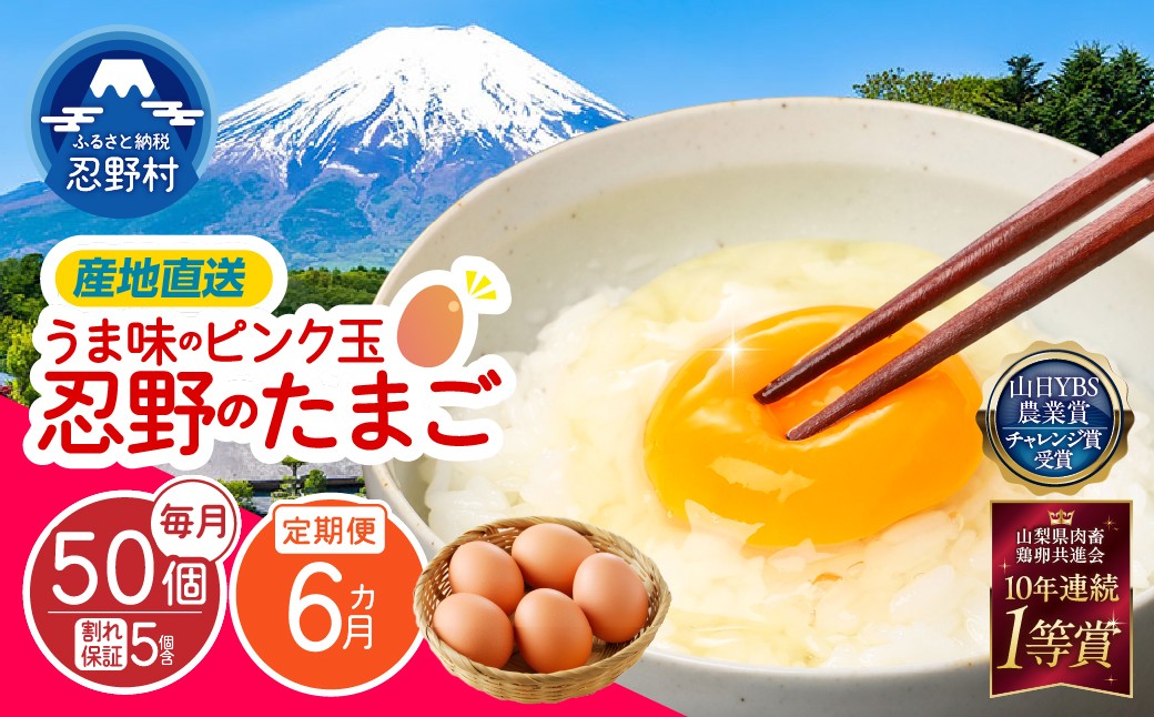 
                  【6ヶ月定期便】”忍野の卵”旨味のピンク玉 （毎月50個×6回）　※割れ保証含む　[卵 定期便 定期 国産 産地直送 毎月 生卵 玉子 たまご 卵かけご飯 卵焼き 親子丼 目玉焼き すき焼き オムライス オムレツ スイーツ作り 料理 調理 人気 鶏卵 鶏 新鮮 6ヵ月 6か月 山梨県 忍野村]
                