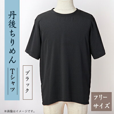 【ふるさと納税】京都の伝統織物を使った丹後ちりめんTシャツ ブラック【1604755】