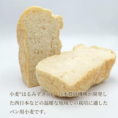 ふるさと納税 坂出市 [パン用 小麦粉 強力粉] はるみずき 1kg×3袋 |  | 02