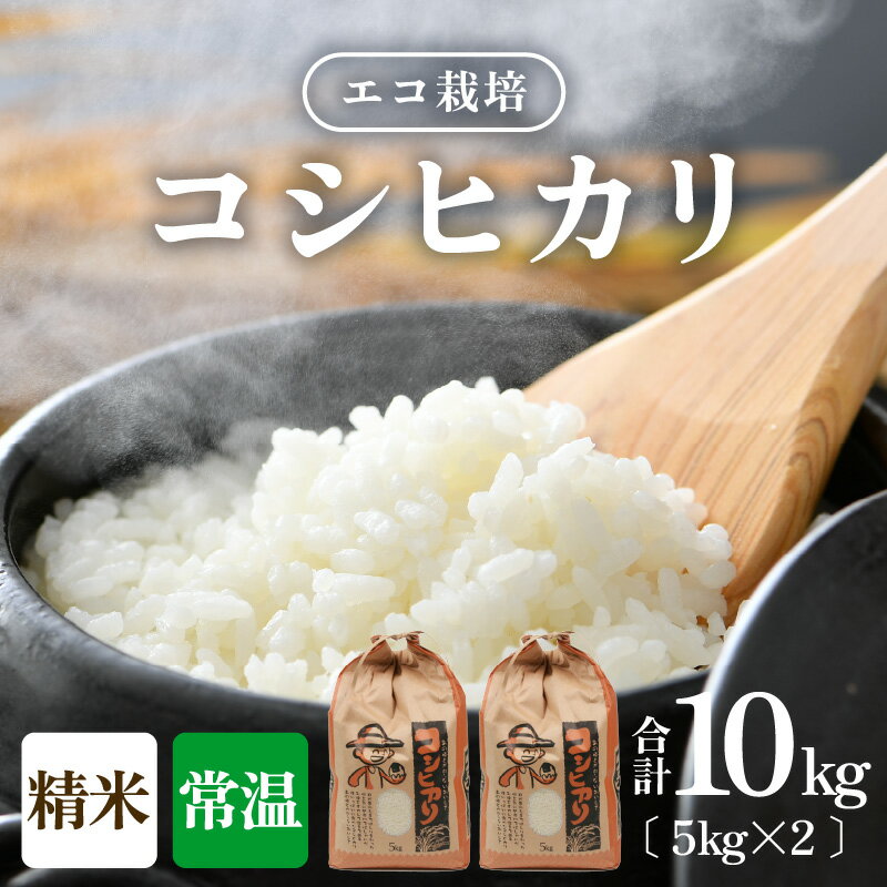 【ふるさと納税】【先行予約】【令和7年産 新米】エコ栽培コシヒカリ 白米10kg（5kg×2） ／ 鮮度抜群 福井県産 こしひかり ご飯 新鮮 白米 ※2025年10月上旬より準備出来次第発送