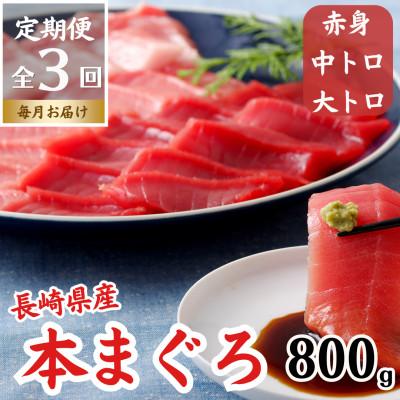 ふるさと納税 佐世保市 【毎月定期便】長崎県産本マグロ「赤身・中トロ・大トロ」三種セット(計800g以上)全3回