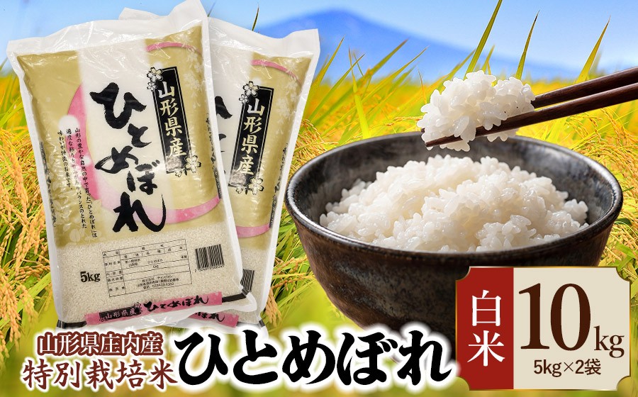 
                  【令和7年産】 特別栽培米 ひとめぼれ 精米 10kg (5kg×2袋)　山形県 庄内産 　| 10キロ 米 お米 コメ 白米 食品 ご飯 ごはん 美味しい おいしい ブランド米 庄内米 エコ包装 おすすめ 人気 山形県 鶴岡市 東北 国産 お取り寄せ SDGs未来都市鶴岡 返礼品
                