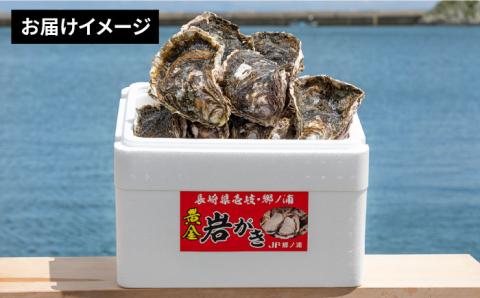 壱岐産 黄金岩牡蠣 5kg [JEV001] カキ 岩ガキ 岩がき 海鮮 貝 魚貝 BBQ  38000 38000円