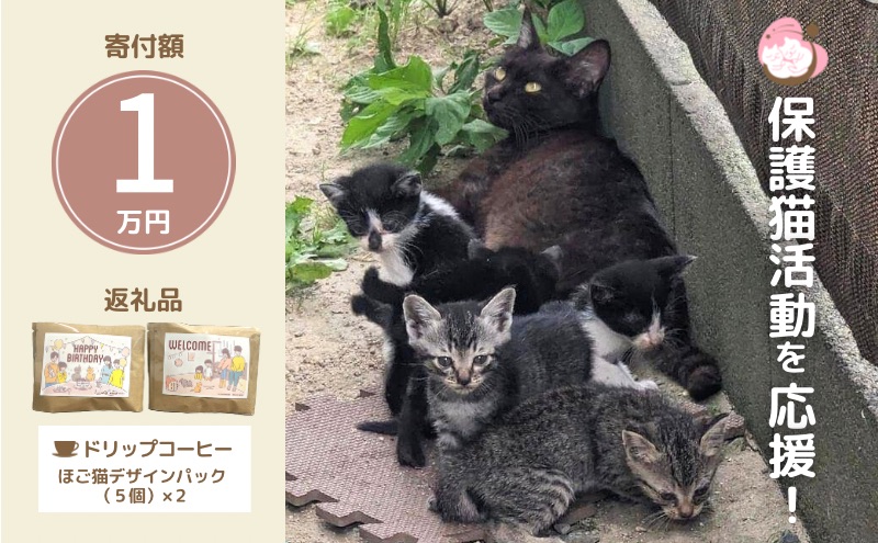 ドリップコーヒー さくらねこサポートOGORI 保護猫活動を応援！ コーヒー ドリップパック 10袋入り 珈琲 飲料