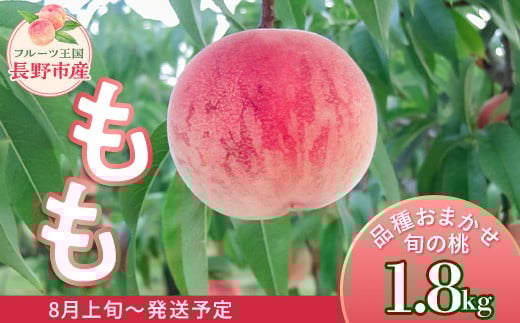 
            長野市産 もも 1.8kg【2026年8月以降の出荷分】（矢島農園） J0522
          