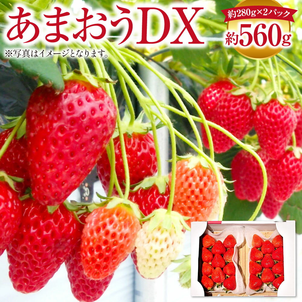 【ふるさと納税】あまおう デラックス 約280g×2パック 計約560g いちご 苺 イチゴ フルーツ 果物 お取り寄せ デザート おやつ 福岡県産 冷蔵 送料無料【2027年2月上旬～4月下旬発送予定】