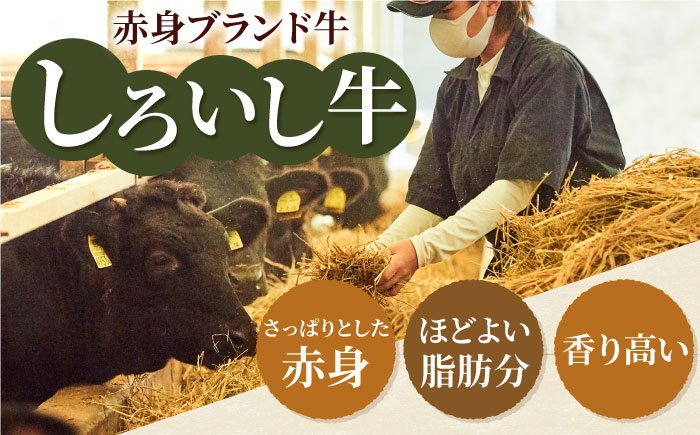 【牧場直送】【6回定期便】佐賀県産しろいし牛 1頭まるごと定期便【有限会社佐賀セントラル牧場】 [IAH032]