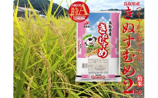 45M.鳥取県産きぬむすめ◇精米2kg◇令和7年産