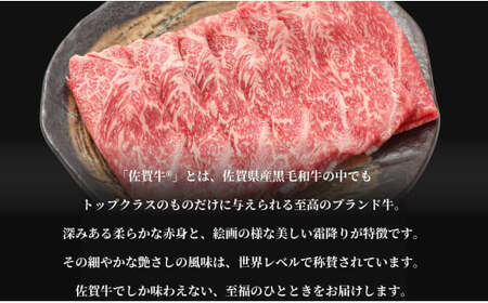 牛肉＆鶏肉 佐賀の地元産お肉を2種楽しめる 佐賀牛小間切れ ありたどり塩ネギ セット 各300g 計600g  肉 佐賀牛 牛肉 おすすめ 1万円 N10-66